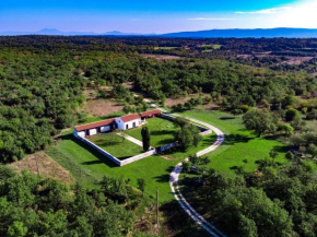 Modernes Ferienhaus in Krnica mit Großem Garten